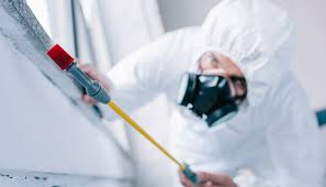 Best Residential Pest Control  in Maryville, MO